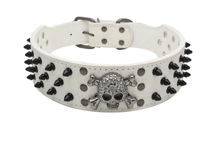 2 inch Wide Spiked Leather Dog Collar with Skull & Bullet Rivets