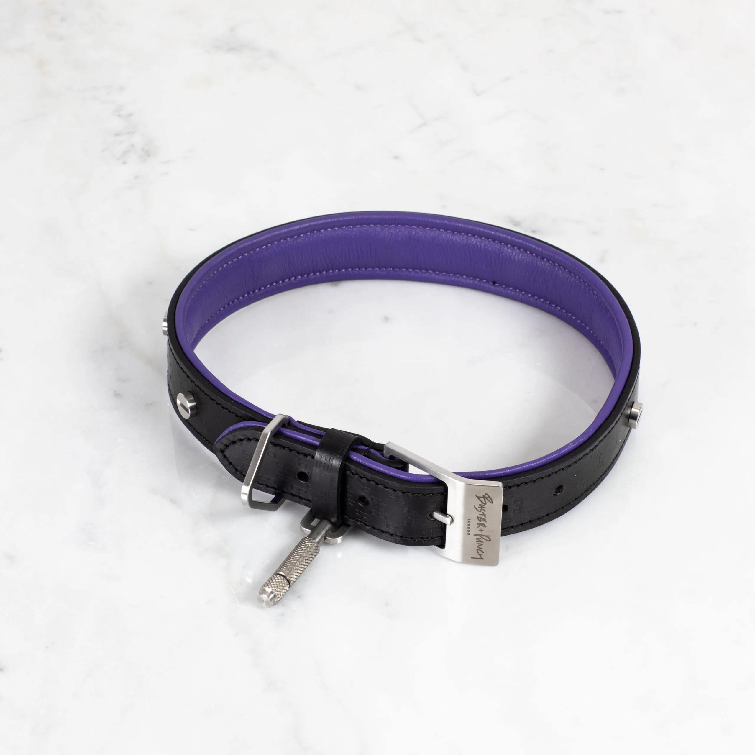 Buster Black and Purple Dog Collar