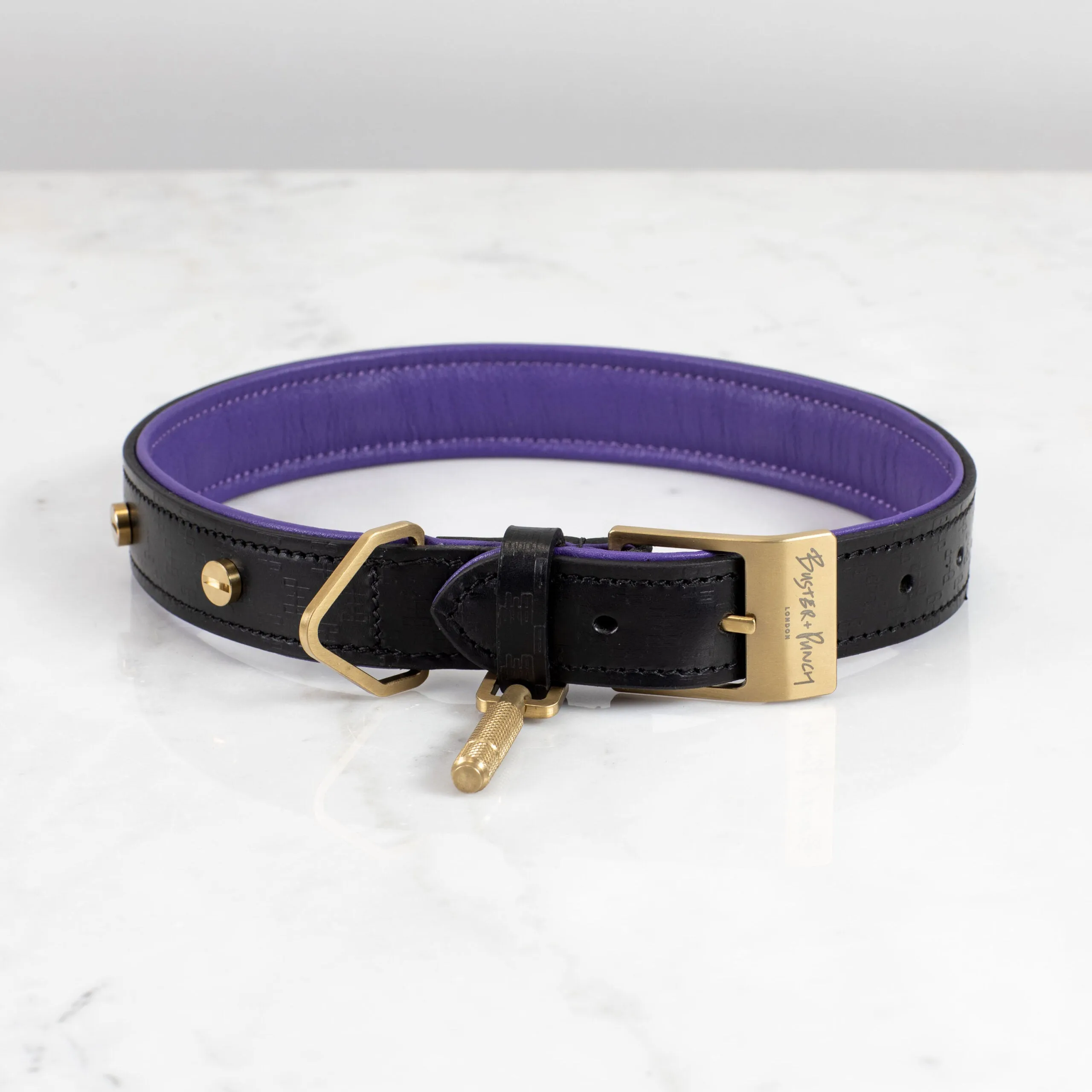 Buster Black and Purple Dog Collar