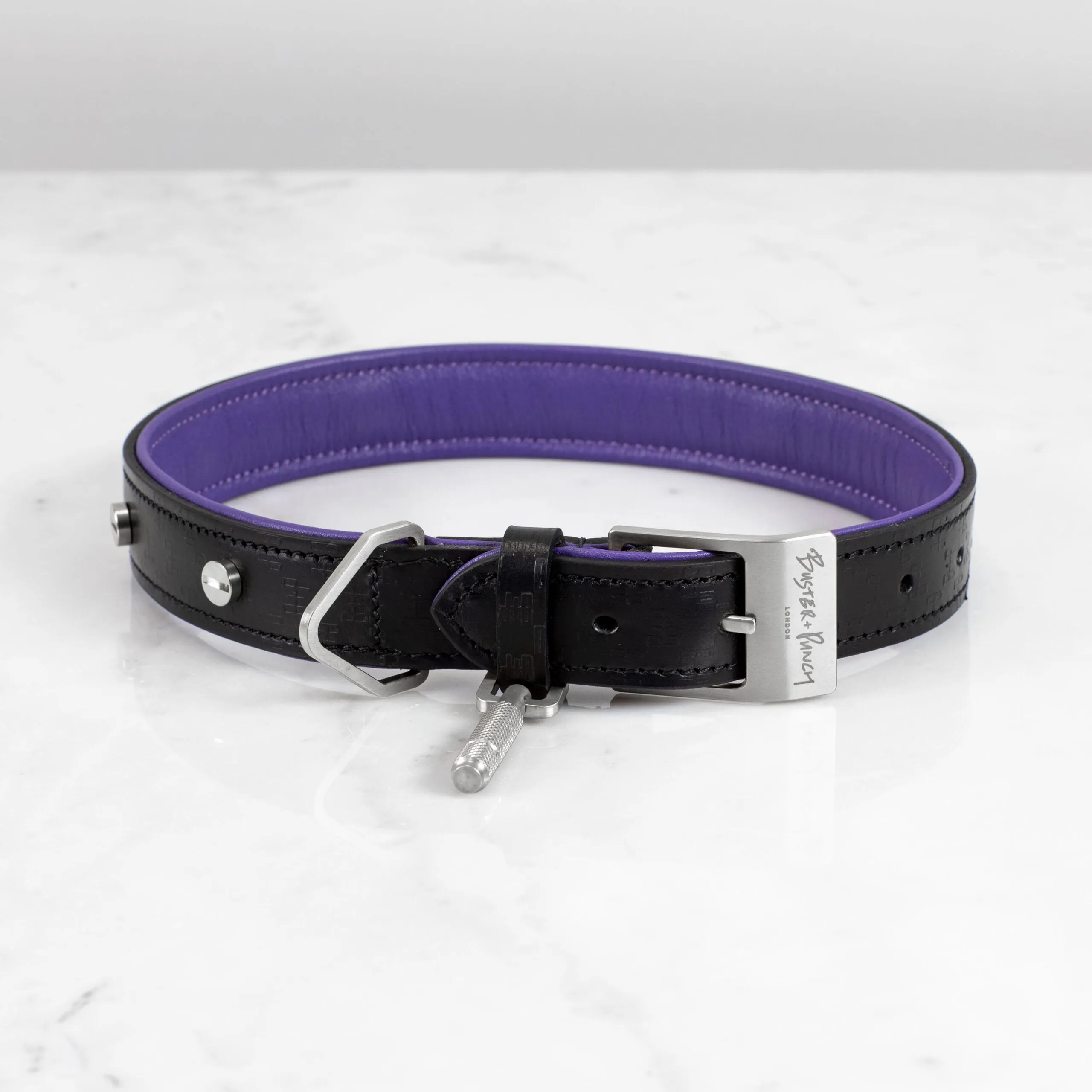 Buster Black and Purple Dog Collar