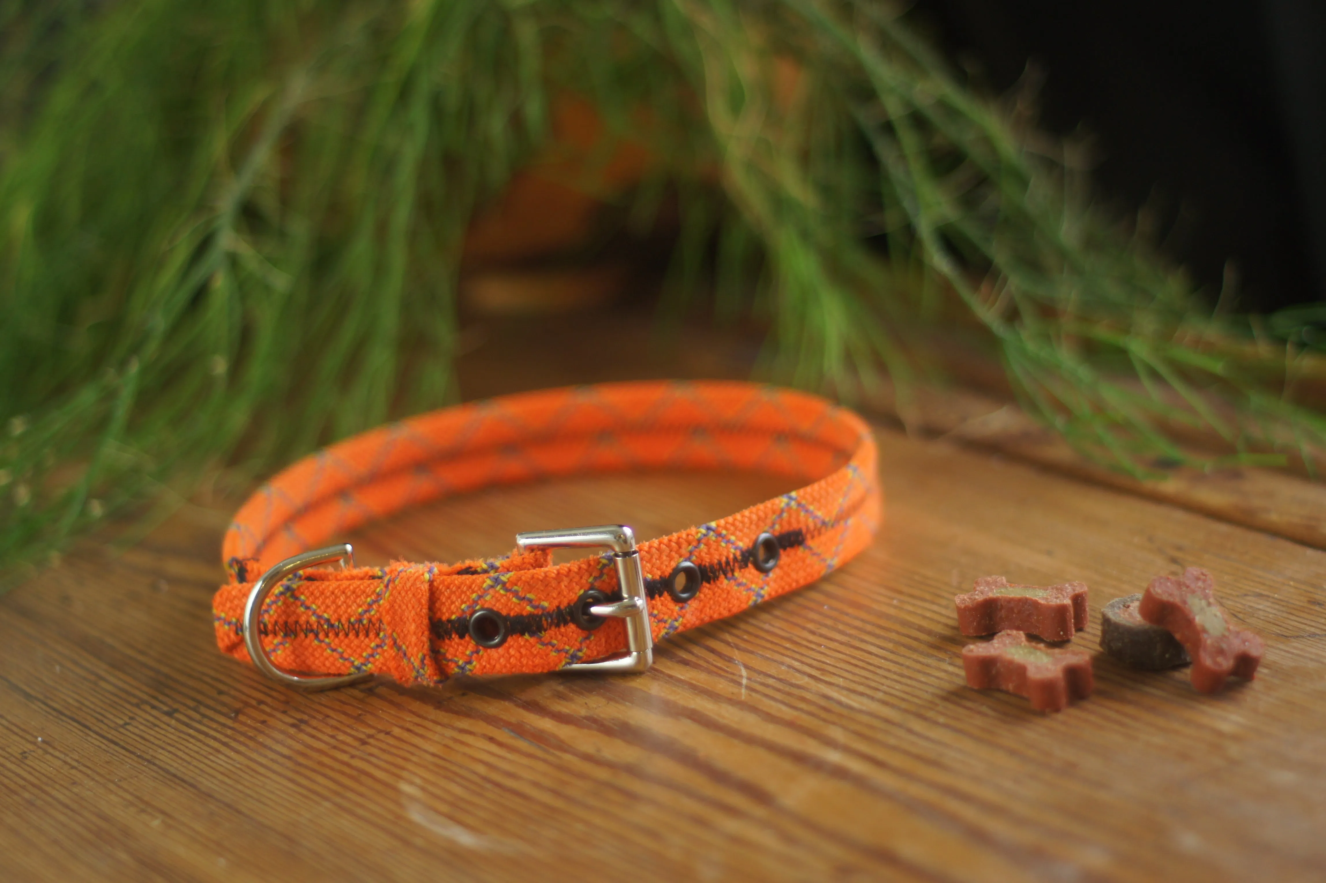 Dog Collar 0073