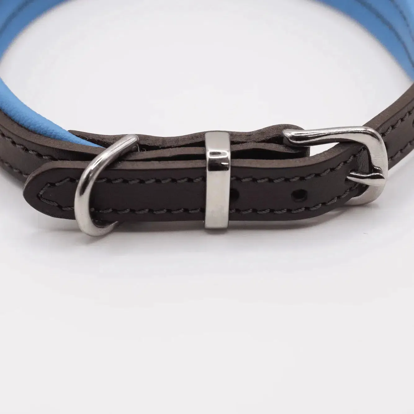 Dogs & Horses Padded Leather Dog Collar - Blue & Brown