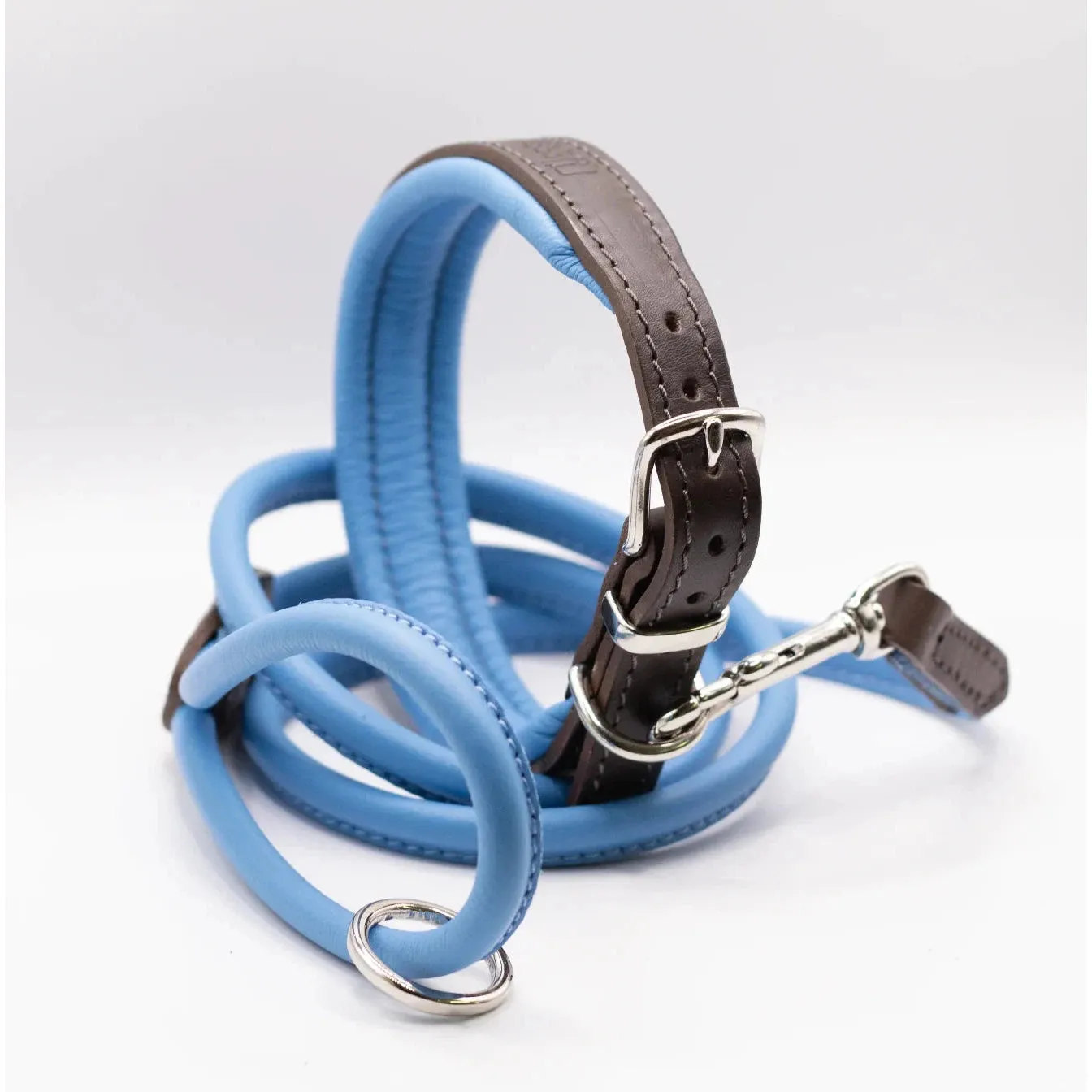 Dogs & Horses Padded Leather Dog Collar - Blue & Brown