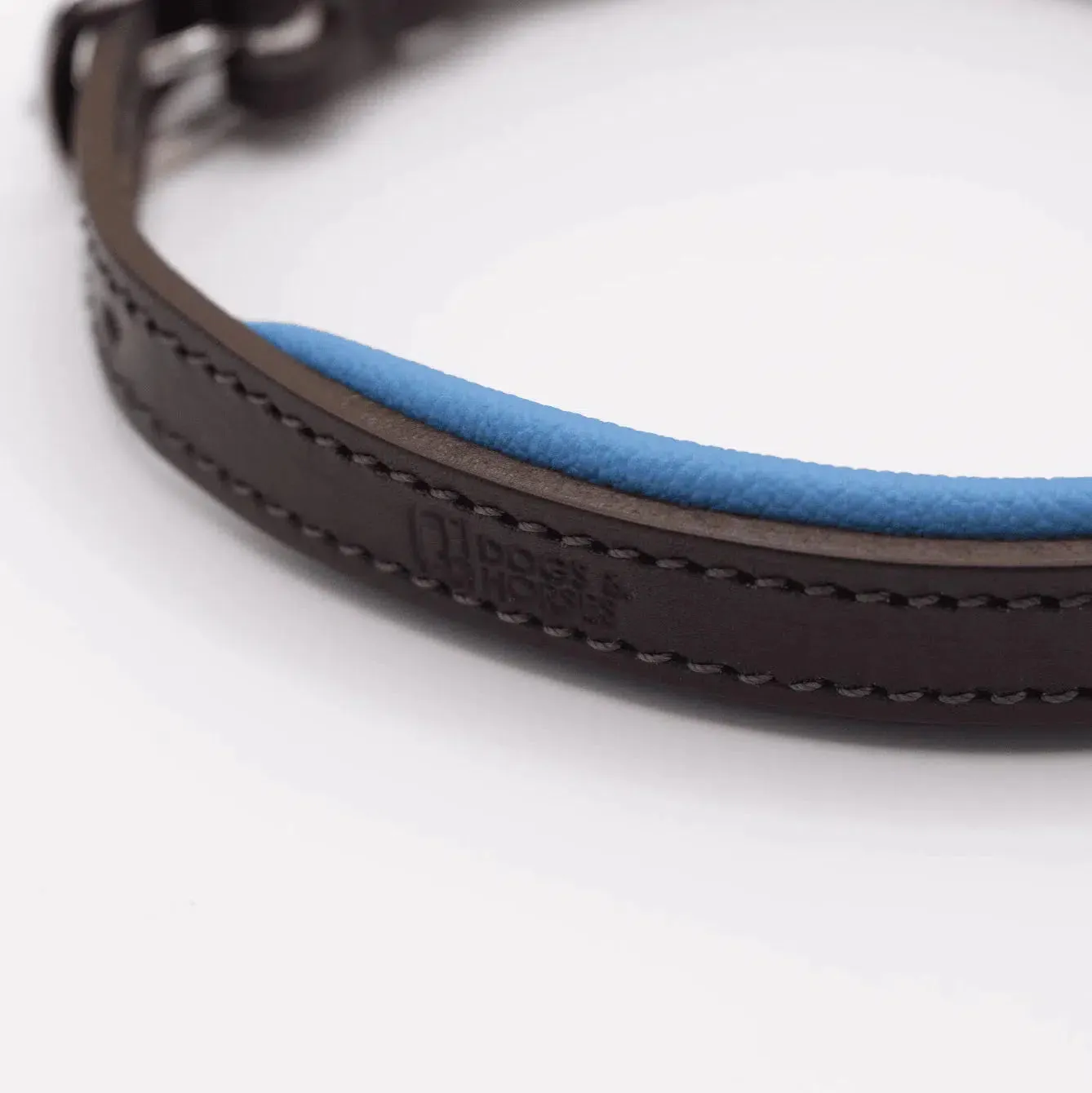 Dogs & Horses Padded Leather Dog Collar - Blue & Brown