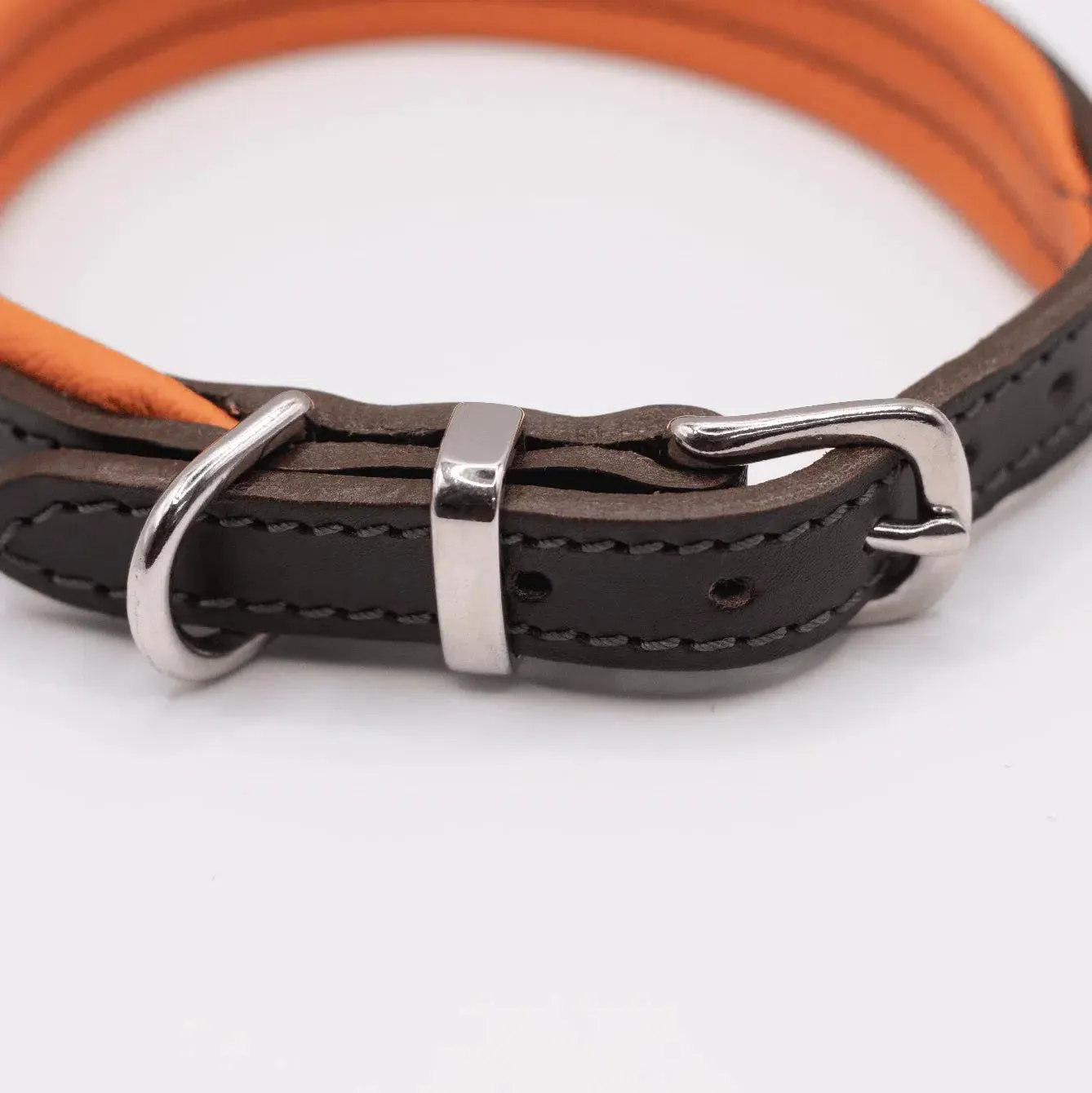 Dogs & Horses Padded Leather Dog Collar - Orange & Brown