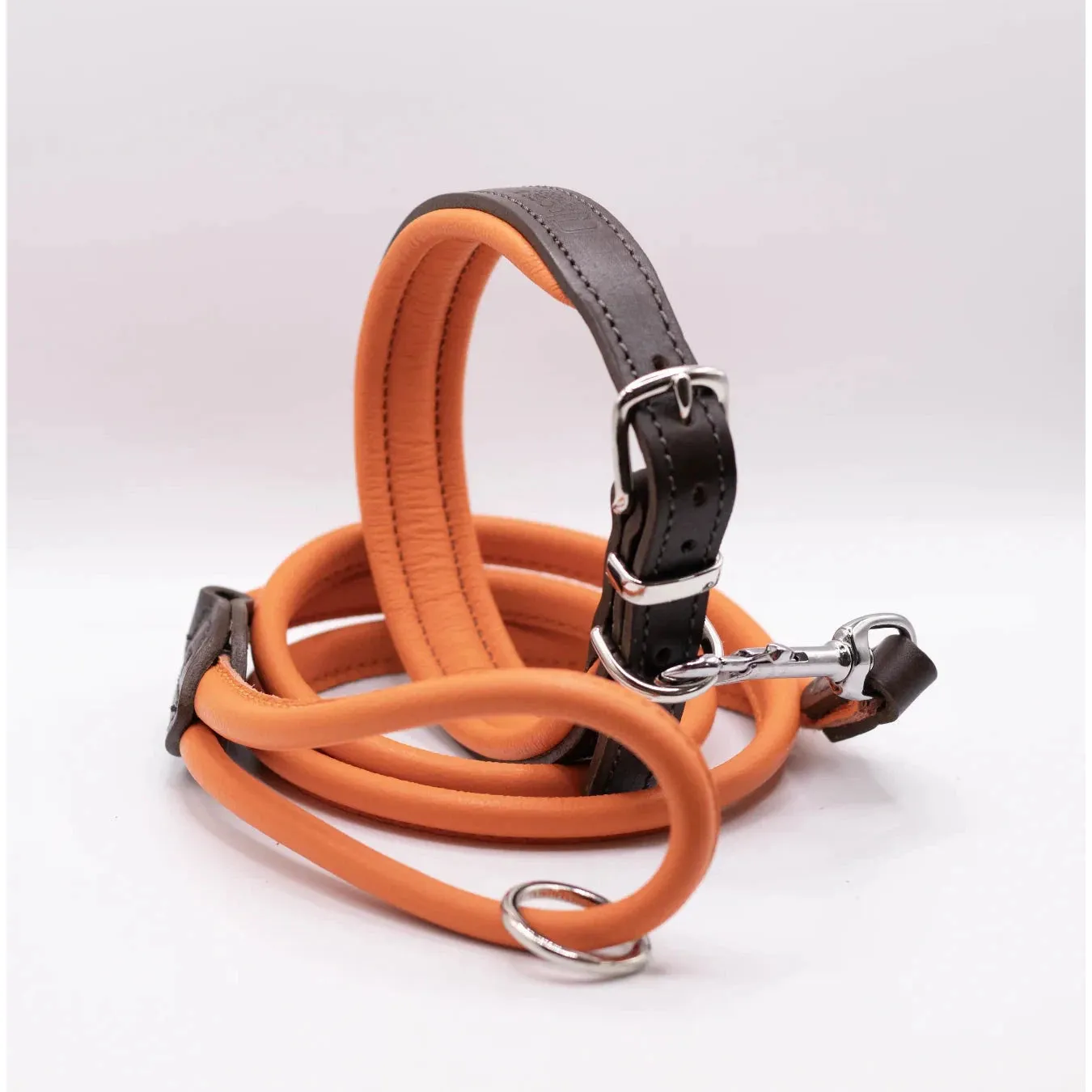 Dogs & Horses Padded Leather Dog Collar - Orange & Brown