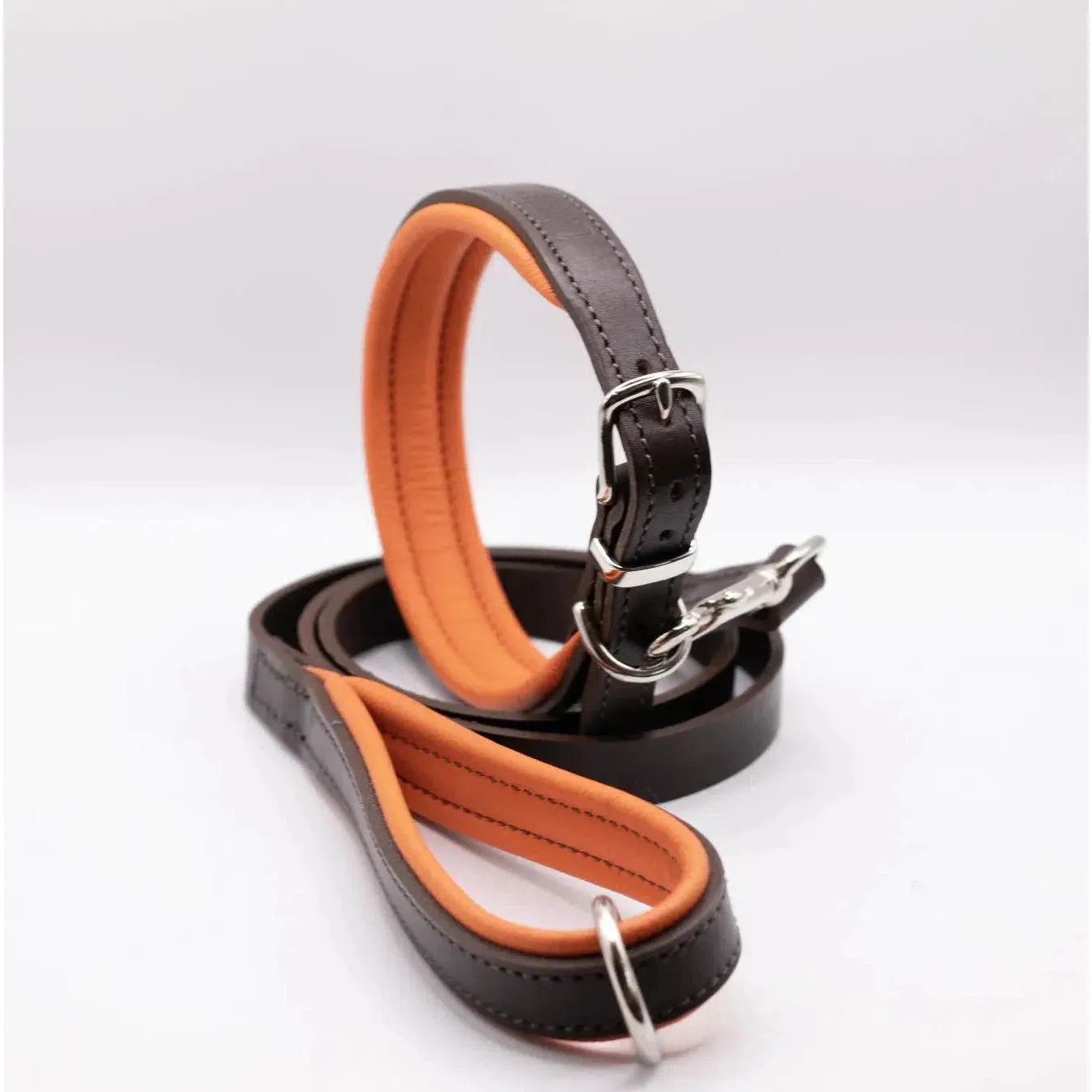 Dogs & Horses Padded Leather Dog Collar - Orange & Brown