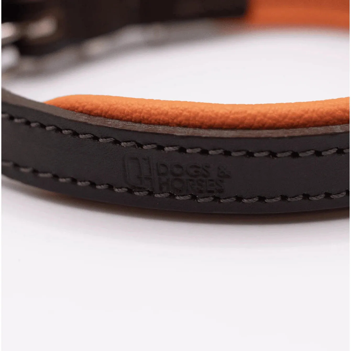 Dogs & Horses Padded Leather Dog Collar - Orange & Brown