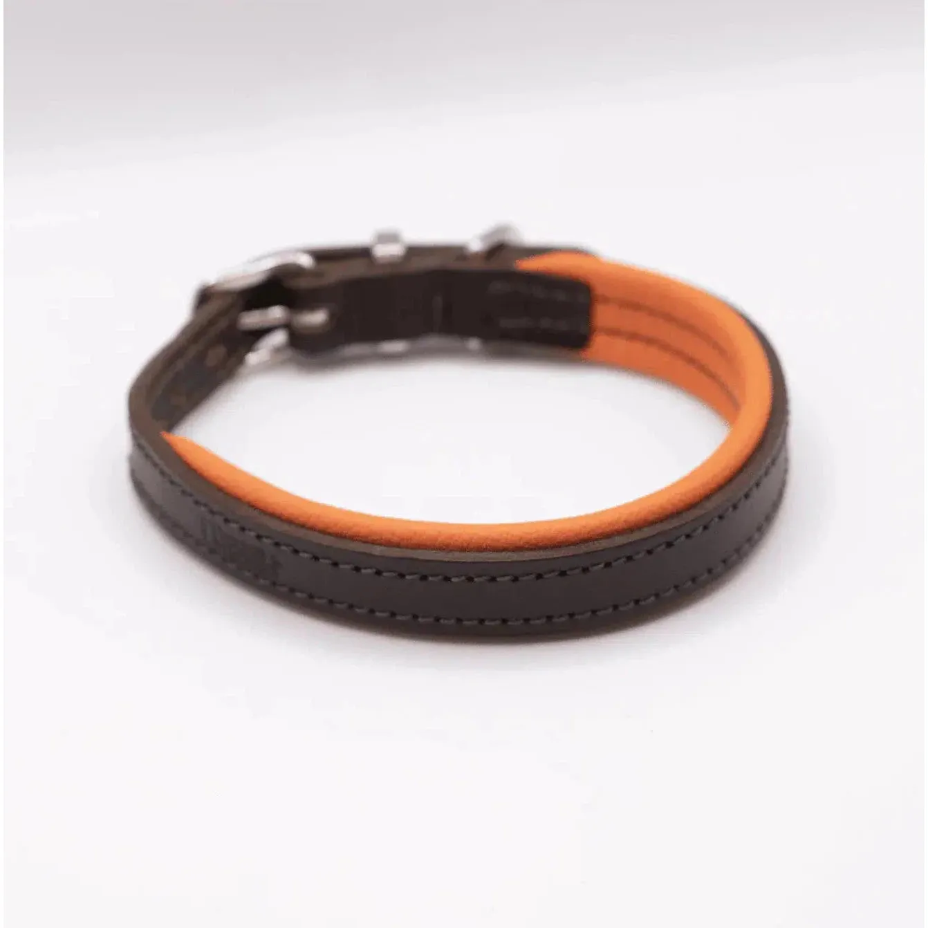 Dogs & Horses Padded Leather Dog Collar - Orange & Brown