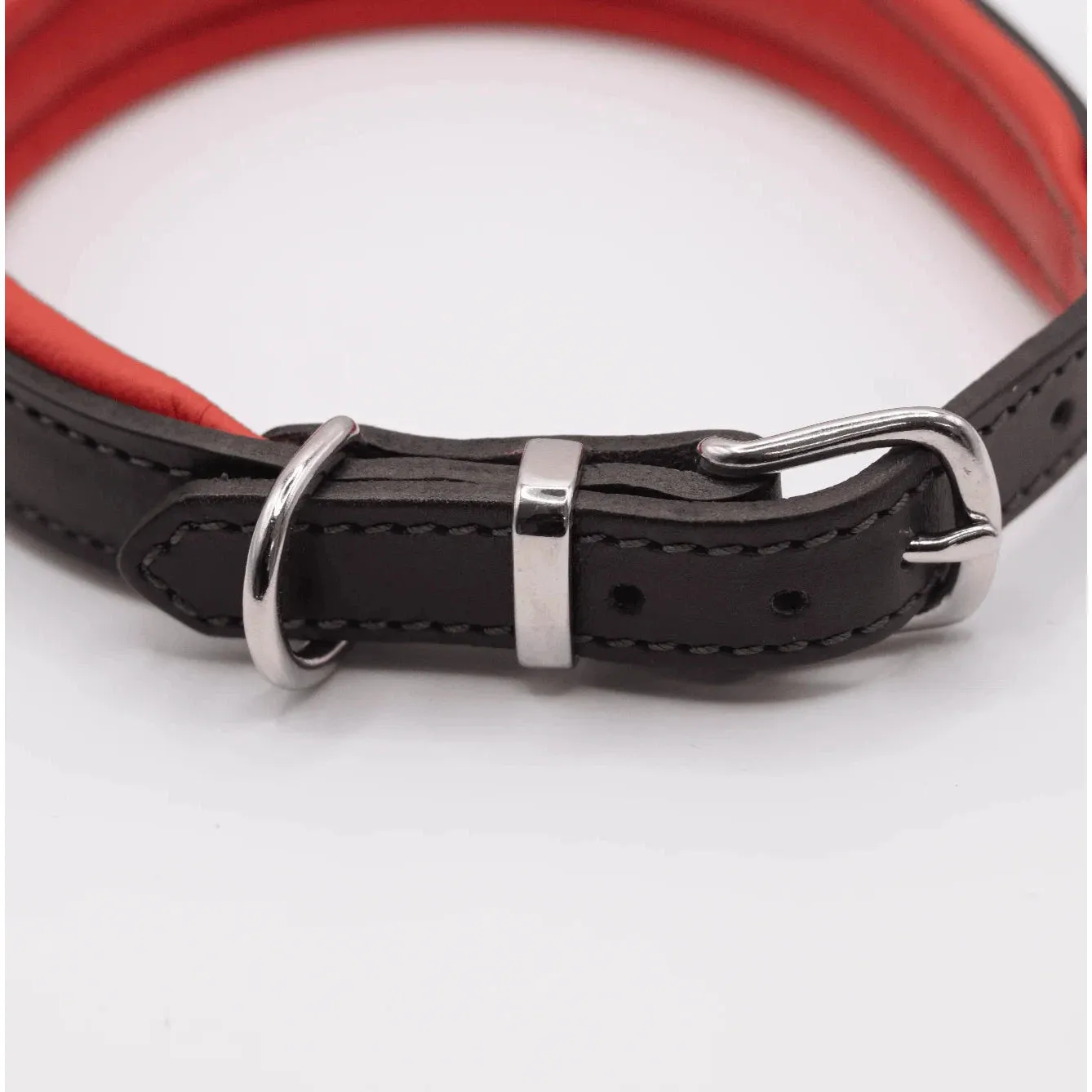 Dogs & Horses Padded Leather Dog Collar - Red & Brown