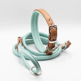 Dogs & Horses Padded Leather Dog Collar - Tan & Aqua