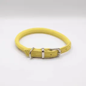 Dogs & Horses Rolled Leather Dog Collar - Yellow