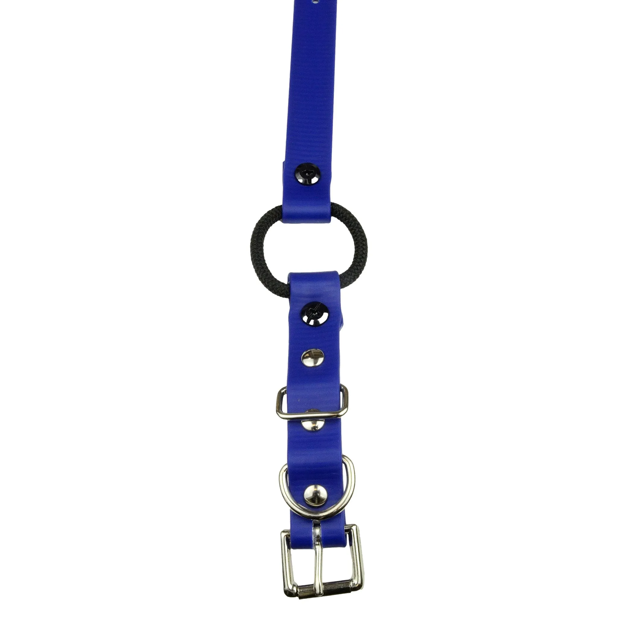 E-Collar Technologies 33" Biothane Collar with Buckle and Bungee