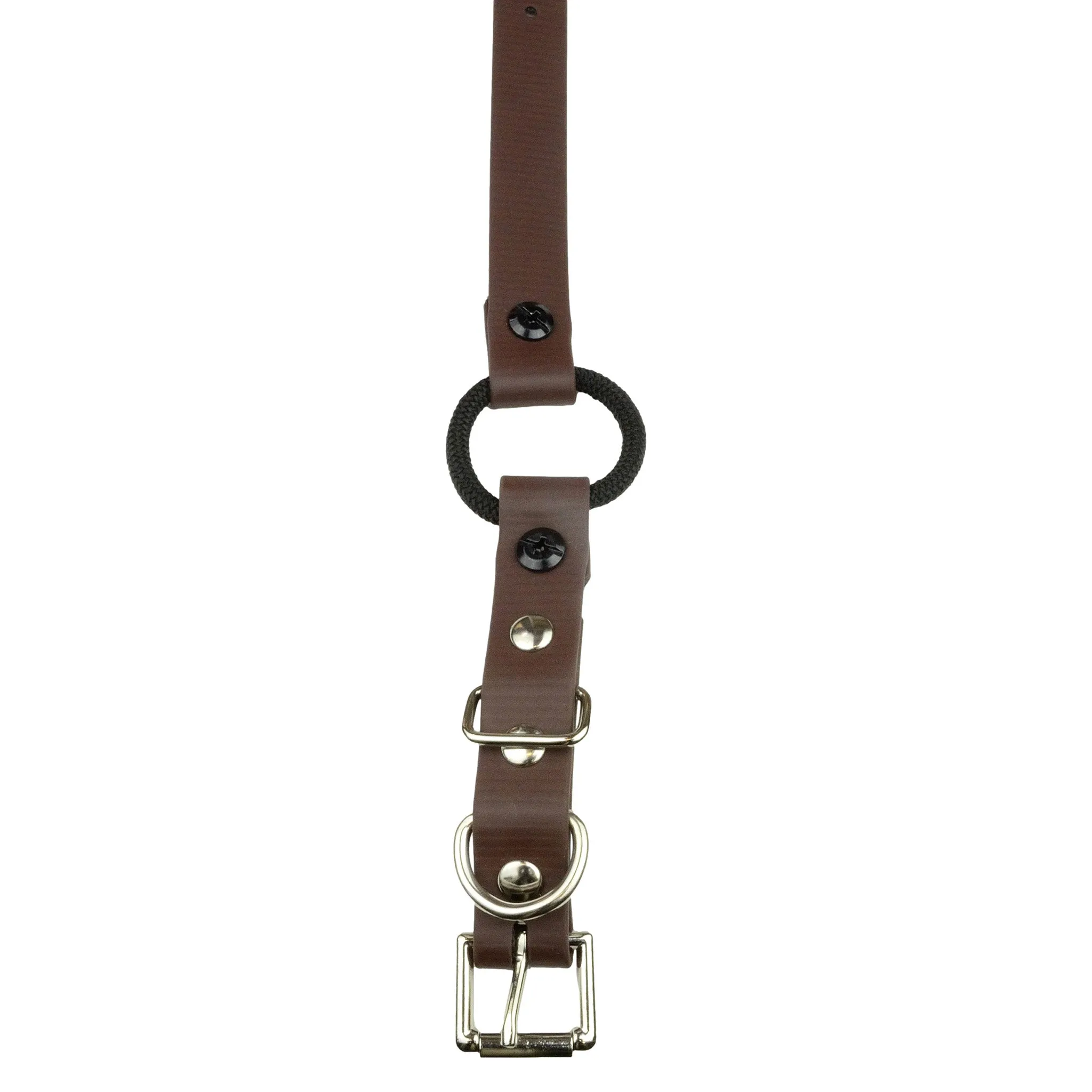 E-Collar Technologies 33" Biothane Collar with Buckle and Bungee