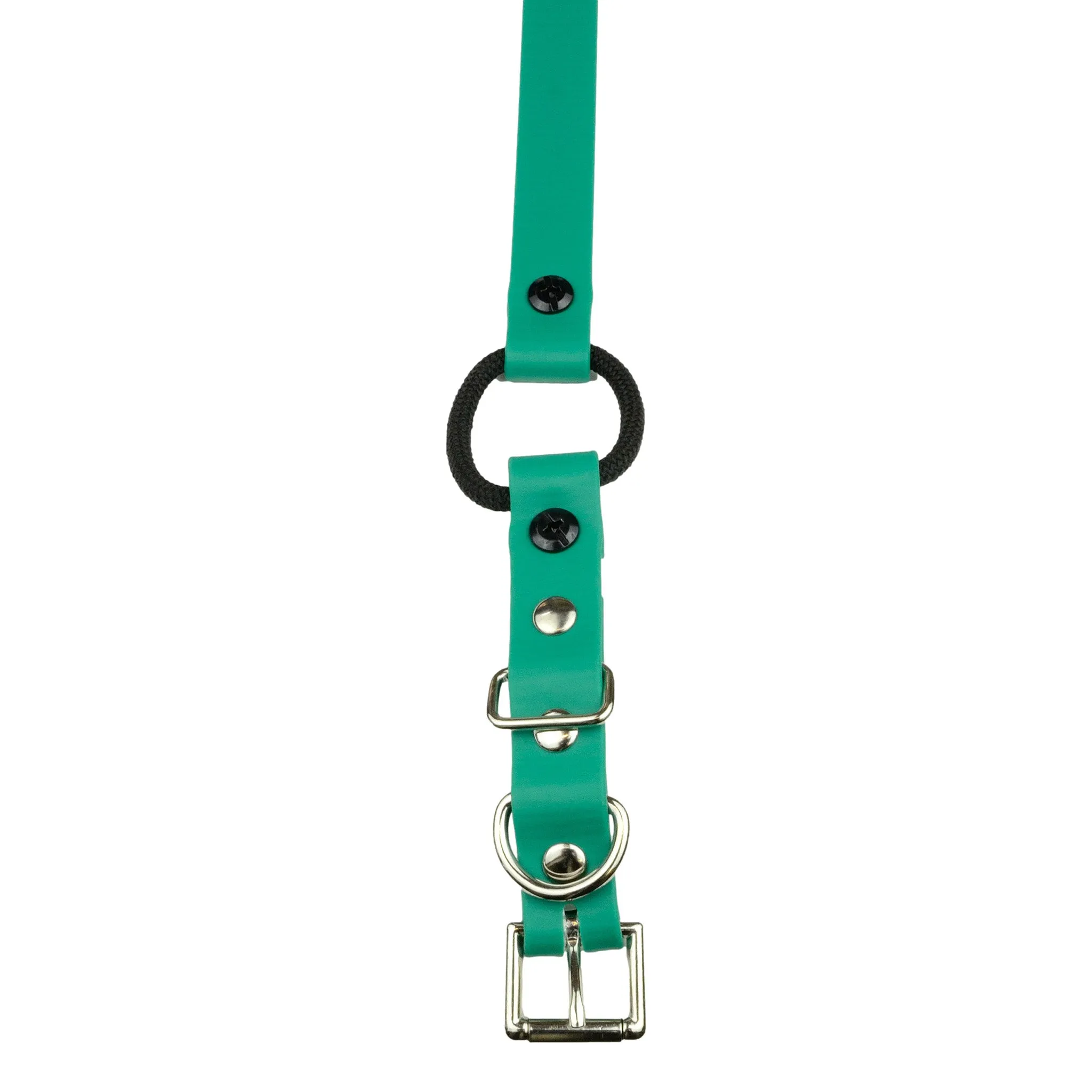 E-Collar Technologies 33" Biothane Collar with Buckle and Bungee