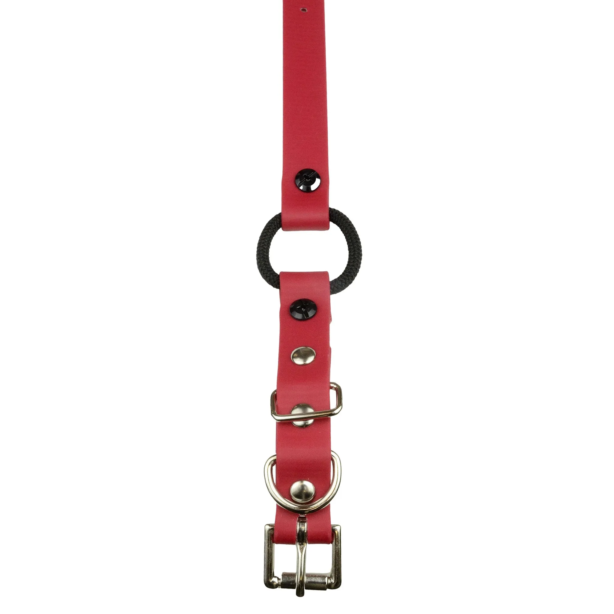 E-Collar Technologies 33" Biothane Collar with Buckle and Bungee