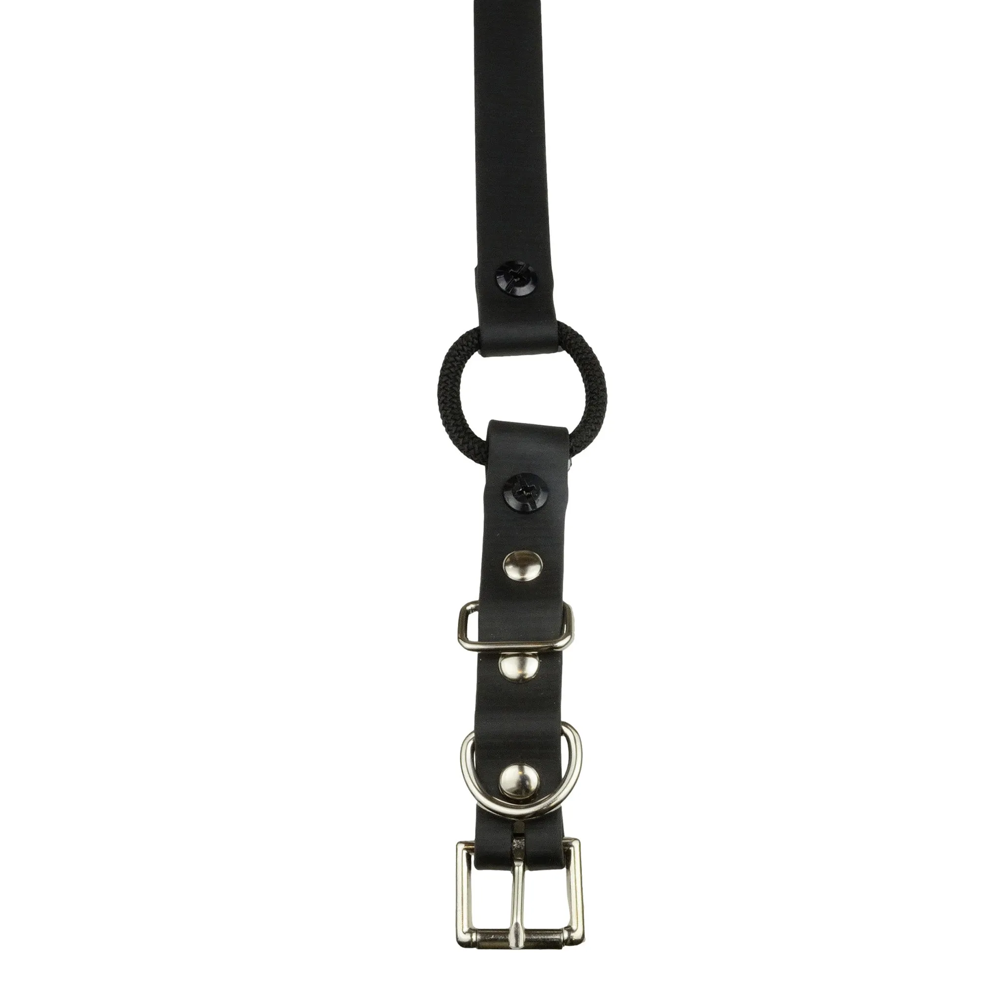 E-Collar Technologies 33" Biothane Collar with Buckle and Bungee