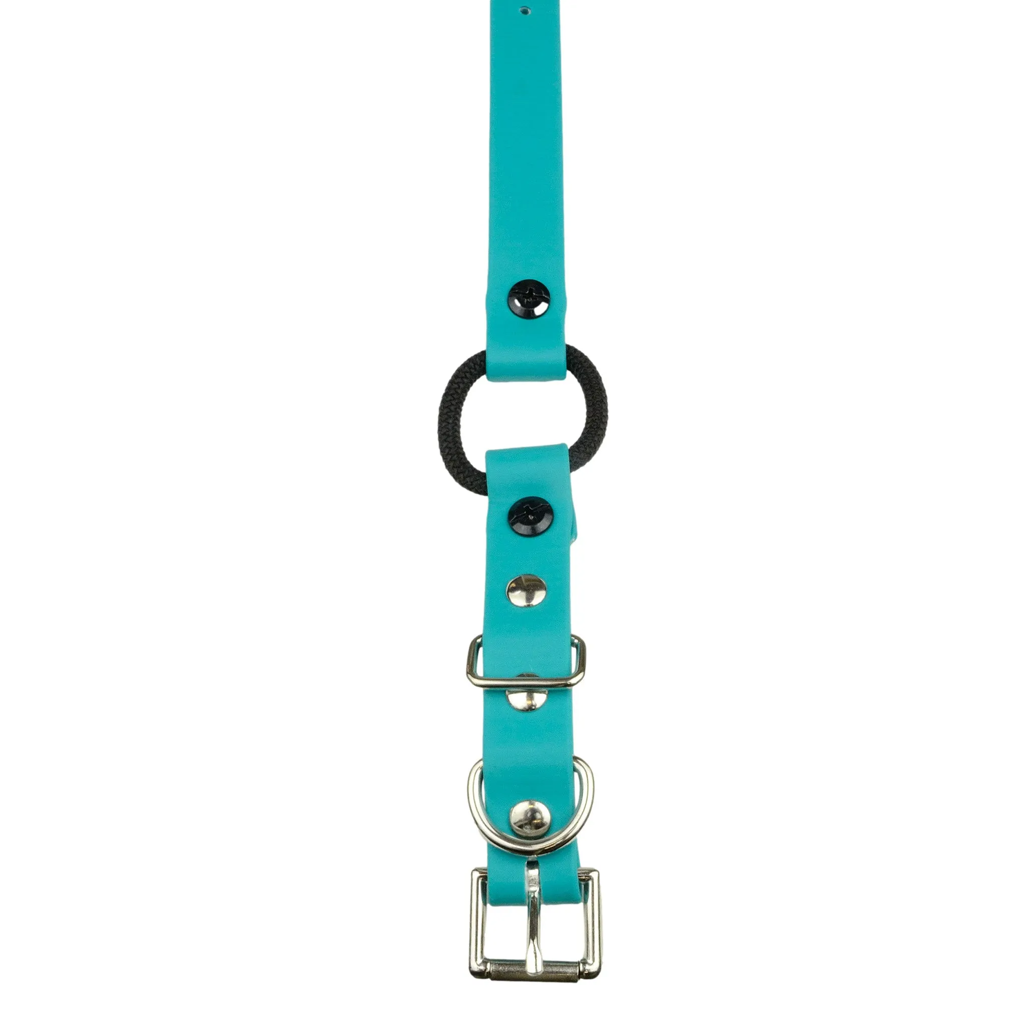 E-Collar Technologies 33" Biothane Collar with Buckle and Bungee