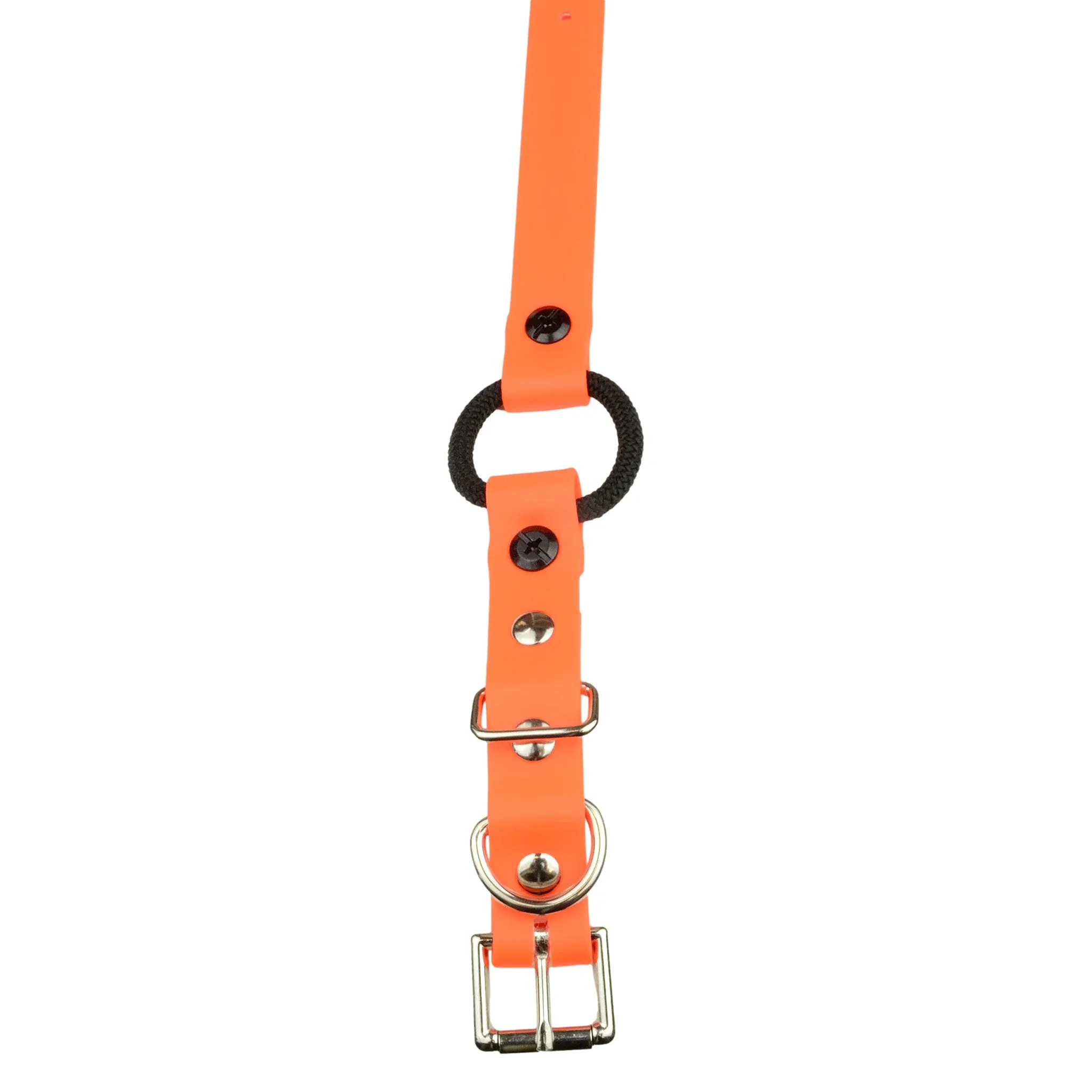 E-Collar Technologies 33" Biothane Collar with Buckle and Bungee