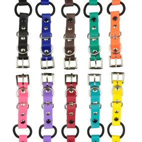 E-Collar Technologies 33" Biothane Collar with Buckle and Bungee