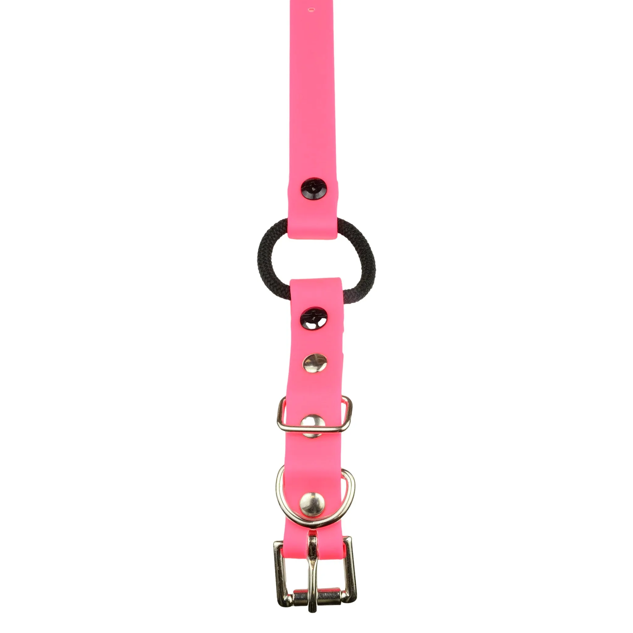 E-Collar Technologies 33" Biothane Collar with Buckle and Bungee