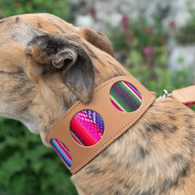 Inca Pink Hound Collar - Leather & Fabric | Stylish & Durable for Sighthounds