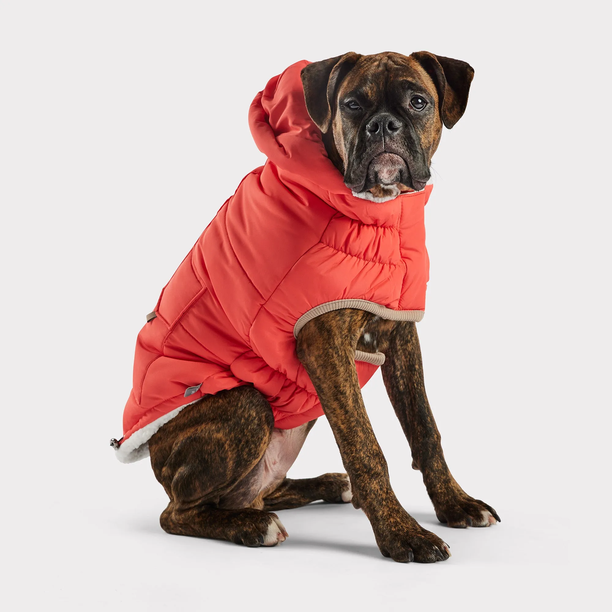 InFiber™ Nordic Dog Parka | Cayenne