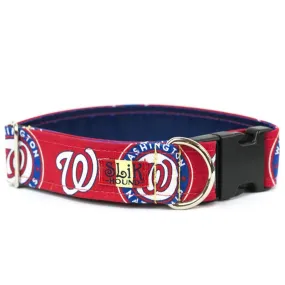 WASHINGTON NATIONALS THEMED